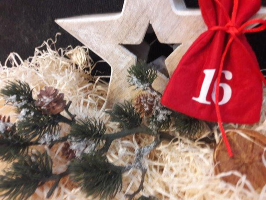 16. Katzen allgemein aus den Zimmern