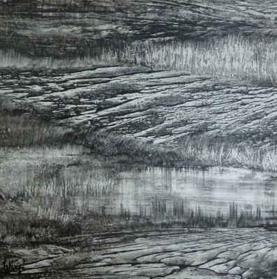 Désertique 30x30