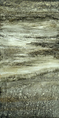 Tourbière dénudée 73x123