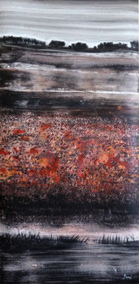 Le chant des coquelicots 50x100 🙂