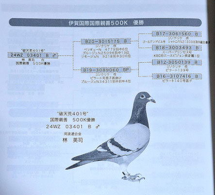 訂正の鳩ページ（74ページ）