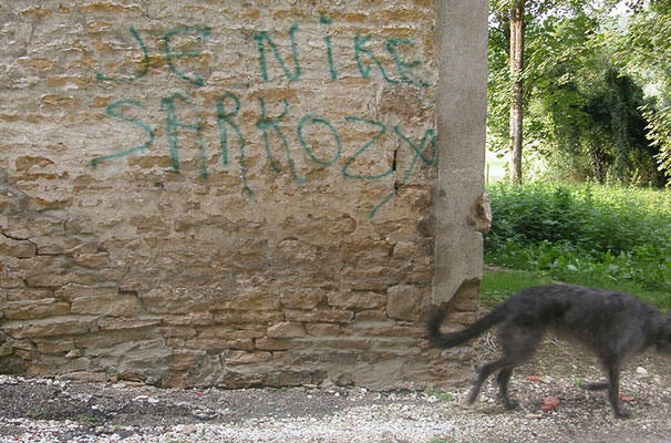 irrévérencieux... / deersrespectful…