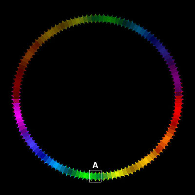 Basins of Attraction z^128-1=0 Laguerre-Verfahren, B=[-1.2, 1.2]x[-1.2, 1.2]