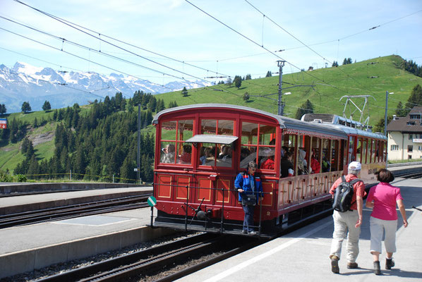 Nr. 2038 / 29.05.2011 / Rigi, Rigibahn/ 3872 x 2592 / JPG-Datei