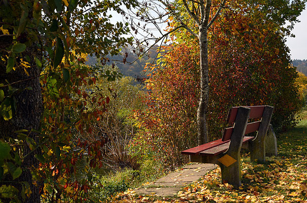 5142 / Woche 42 / Glattfelden, Herbststimmung