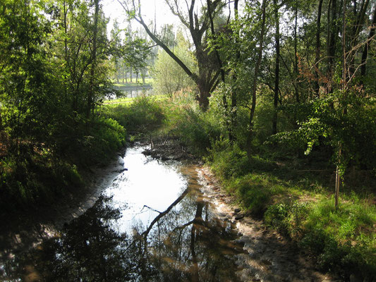 Nr. 292 / 16.10.07 / Dietikon, Einlauf Klosterbach in Limmat / 2592 x 1944 / JPG Datei