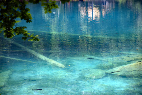 Nr. 343 / 2016 / Blausee / 6016 x 4016 / JPG-Datei