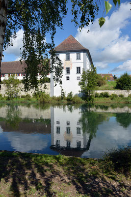 Nr. 3012 / 17.08.2014 / Kloster Rheinau / 6000 x 4000 / JPG-Datei