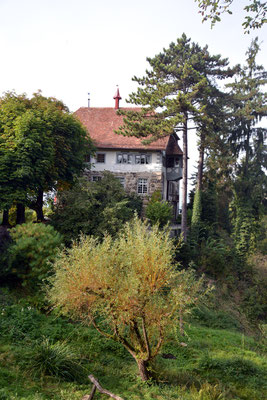 Nr. 2607 / 05.10.2014 / Schloss Wellenberg, Felben Wellhausen / 6000 x 4000 / JPG-Datei