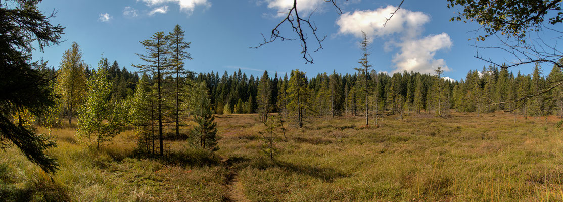 Beim Etang de la Gruère