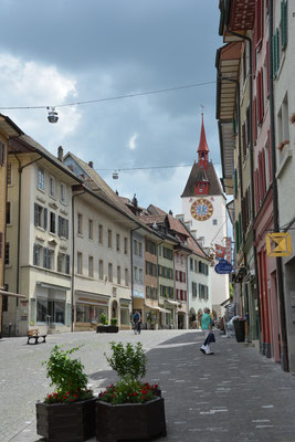 Nr. 132 / 29.05.2014 / Bremgarten /6000 x 4000 / JPG-Datei