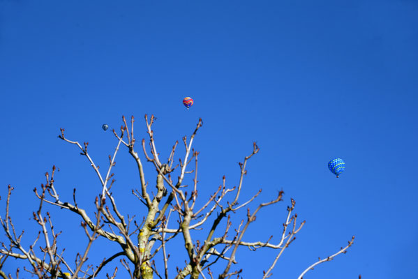 2020 Woche 6, Château d'Oex, Ballonfestival