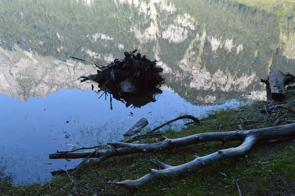 Nr. 212 / 08.09.12 / Klöntalersee, Spiegelung, Blick Richtung Nord-Ost / 6016 x 4000 / JPG-Datei