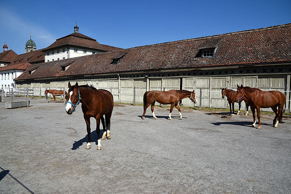 Nr. 3058 / 2016 / Kloster Einsiedeln / 6000 x 4000 / JPG-Datei