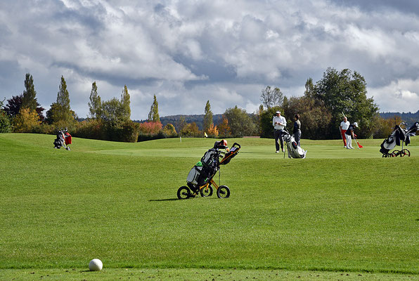 5241 / Woche 41 / Golfplatz bei Lindau