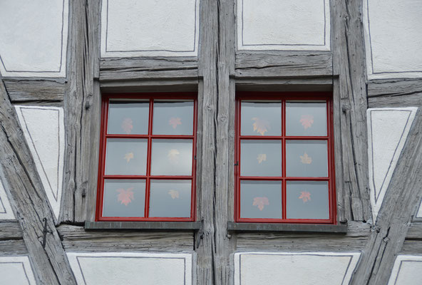 5345 / Wochenbild, Fenster aufgenommen bei Warth-Weiningen