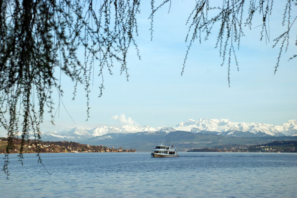 Nr. 306 / 05.04.2010 / Zürichsee, Rueschlikon, Blick Richtung Ost / 3872 x 2592 / JPG Datei