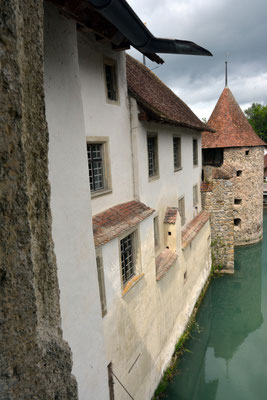 Nr. 2569 / 09.08.2014 / Schloss Hallwyl, Seengen / 6000 x 4000 / JPG-Datei