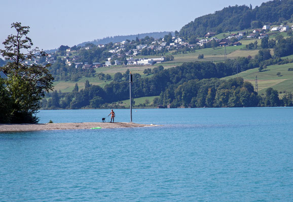 Woche 34 / Hallwilersee