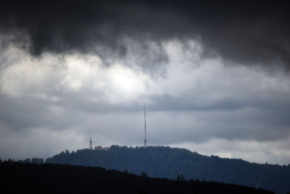 5134 / Woche 34 / Uetliberg, Blick von Nord-Osten