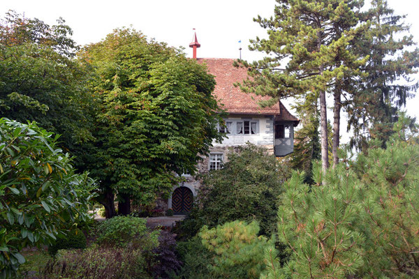 Nr. 2606 / 05.10.2014 / Schloss Wellenberg, Felben Wellhausen / 6000 x 4000 / JPG-Datei