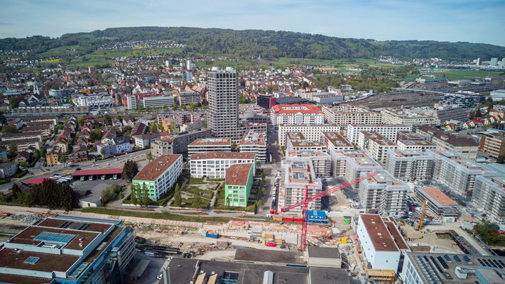 2019 Woche 24, Limmatfeld Dietikon