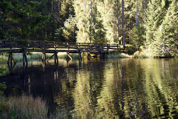 Nr. 306 / 2019 / Etang de la Gruère / 6016 x 4000 / JPG Datei