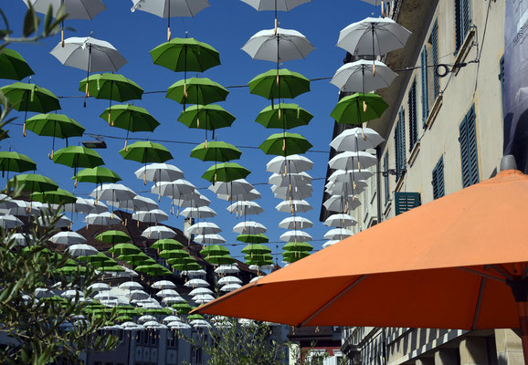 Woche 37 / Solothurn