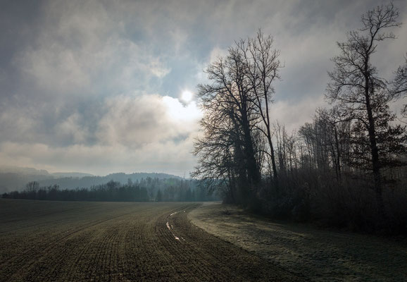 Woche 3 / Morgenstimmung bei Lindau