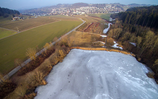 5207 / Woche 7 / Brauiweiher bei Weisslingen