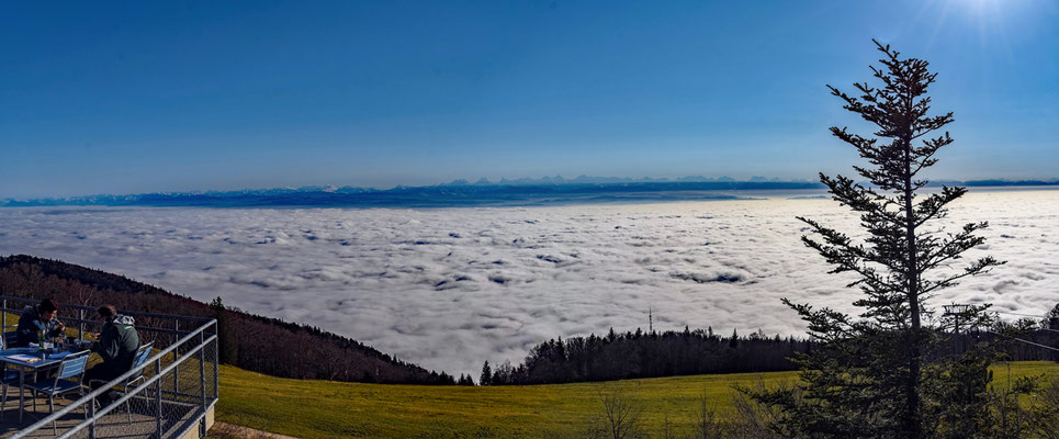 2020, Woche 48, Blick in die Alpen vom Weissenstein