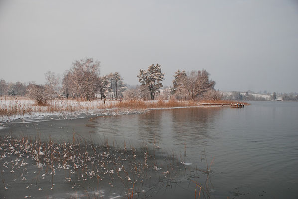 Nr. 232 / 12.01.10 / Pfäffikersee, Blick Richtung Westen / 3872 x 2592 / JPG-Datei