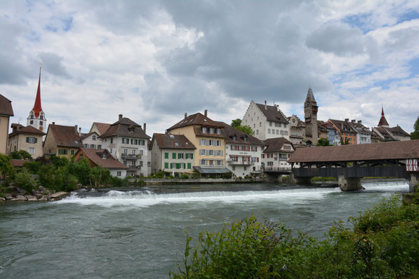 Nr. 145 / 29.05.2014 / Bremgarten /6000 x 4000 / JPG-Datei