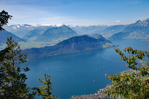 Nr. 354 / 2011 / Rigi 3872 x 2592 / JPG-Datei