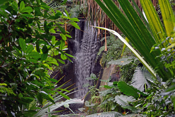 5051 / Zoo Zürich, Wasserfall in Masoalahalle / 6016 x 4000 / JPG-Datei 