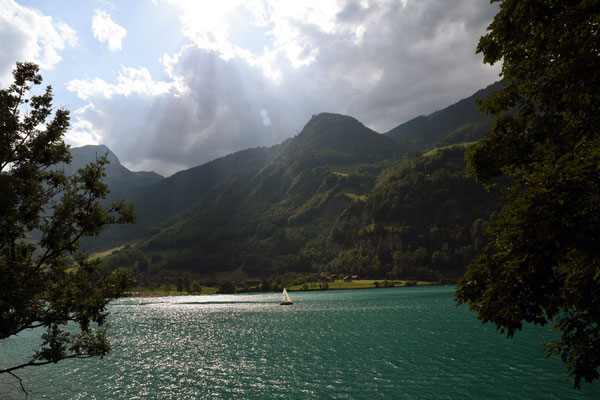 Nr. 304 / 11.07.2015 / Lungernsee, Blick Richtung Süd-West / 6016 x 4016 / JPG-Datei