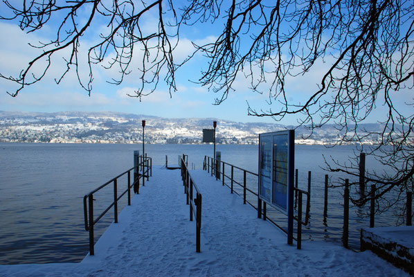 Nr. 311 / 26.12.2010 / Zürichsee, Schiffstation Halbinsel Au / 3872 x 2592 / JPG Datei