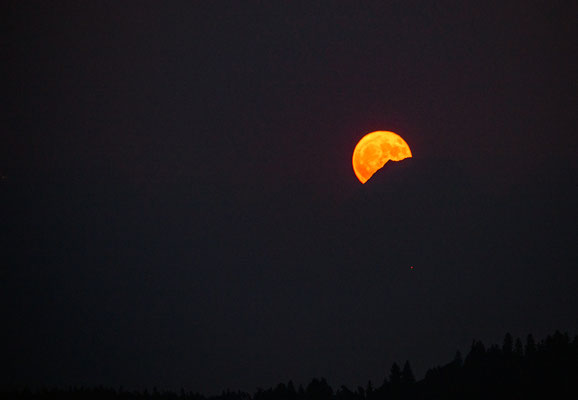 Woche 25 / Aufgehender Blutmond