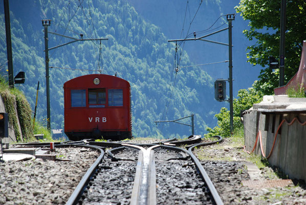 Nr. 2040 / 29.05.2011 / Rigi, Rigibahn/ 3872 x 2592 / JPG-Datei