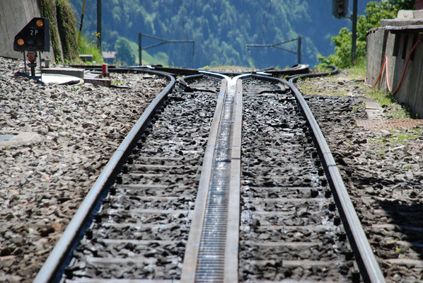 Nr. 2039 / 29.05.2011 / Rigi, Rigibahn/ 3872 x 2592 / JPG-Datei