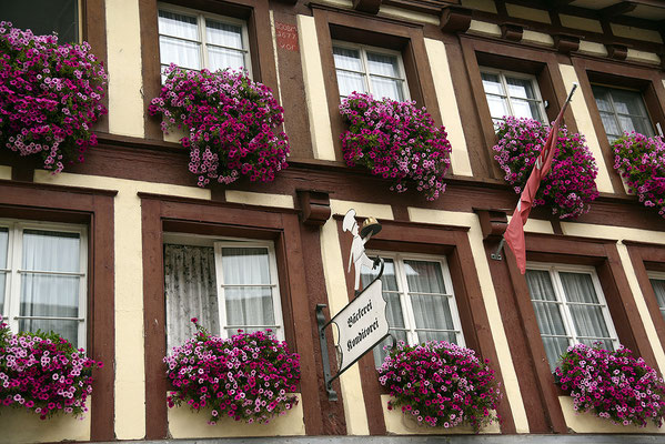 Nr. 138 / 13.06.2015 / Stein am Rhein/ 6016 x 4016 / JPG-Datei