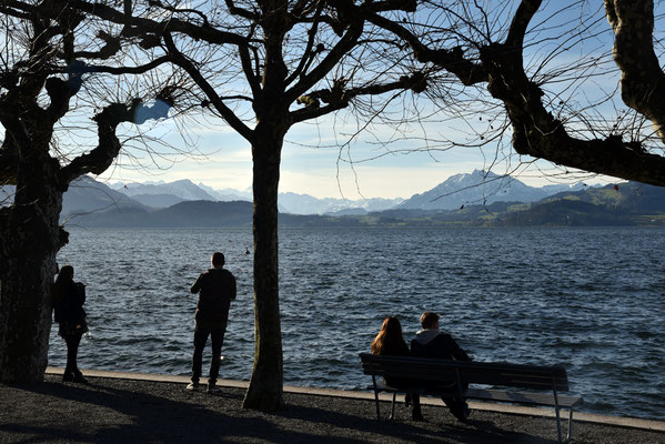 Nr. 310 / 2018 / Zug, am See /6000 x 4000 / JPG-Datei