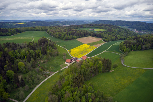 Woche 20, Ober Wagenburg