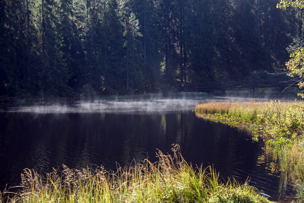 Nr. 301 / 2019 / Etang de la Gruère / 6016 x 4000 / JPG Datei