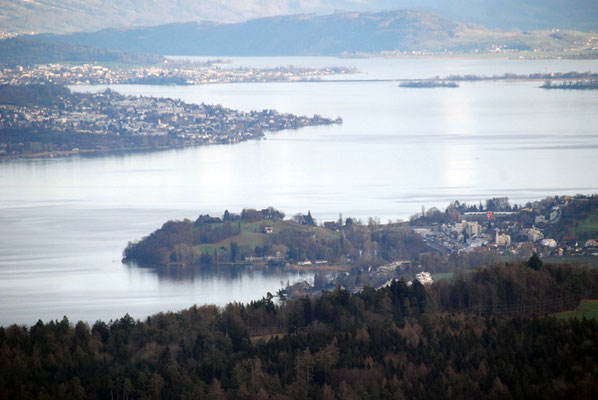 Nr. 305 / 03.01.2012 / Zürichsee, Blick vom Albis Richtung Osten / 3872 x 2592 / JPG Datei