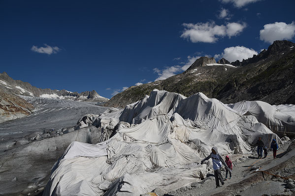 Nr. 336 / 2016 / Aletsch-Gletscher / 6000 x 4000 / JPG-Datei / NEF File