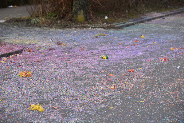 Nr. 1036 / 03.03.19 / Bassersdorf Fastnacht-Umzug / 6000 x 4000 / JPG-Datei