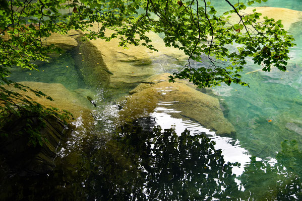 Nr. 342 / 2016 / Blausee / 6016 x 4016 / JPG-Datei