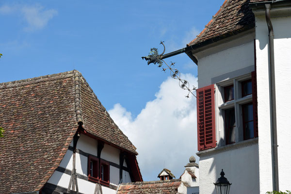 Nr. 3020 / 17.08.2014 / Kloster Rheinau / 6000 x 4000 / JPG-Datei