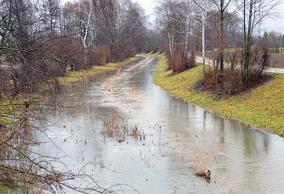 5165 / Woche 5 /  Dielsdorf, Hochwasser im Fischbach